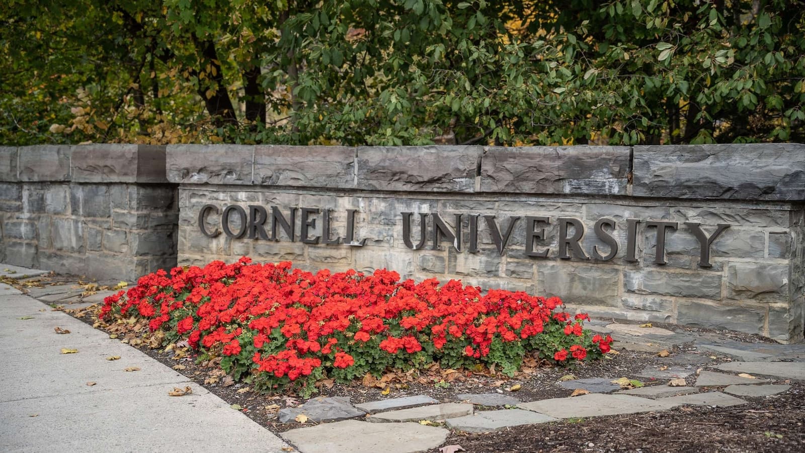 Tompkins County DA's office declined to review additional material on 'gang rape' case from Cornell PD, docs show
