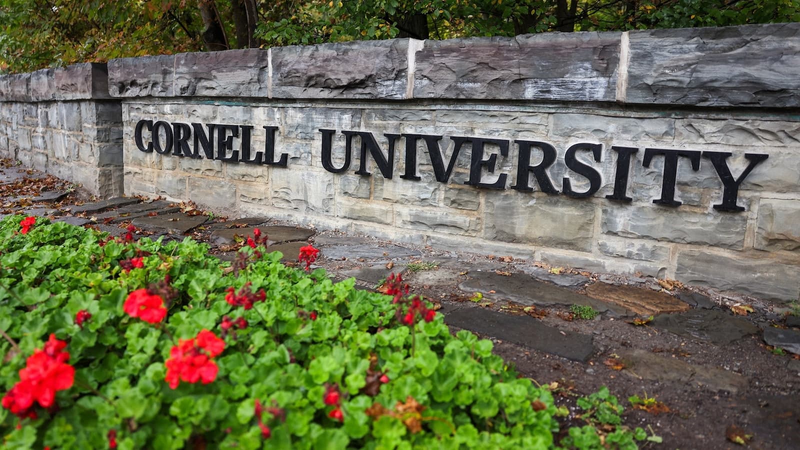 Cornell's Jane Doe said she felt like a 'sex doll' after alleged rape, newly reviewed texts show